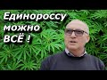 Депутат Единой России обскакал Колумбийских наркобаронов 🌿