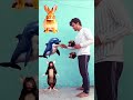 Dolphin Chocolate Kha le 😂~ Mini Wood toy - woodmarking art skill and hand crafted #anaya #shorts