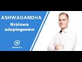 Ashwagandha - królowa adaptogenów