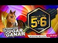 XLIX Clásico “Andrés Bello” | Sugar Cane | Hipódromo Internacional La Rinconada | R01 | 2025