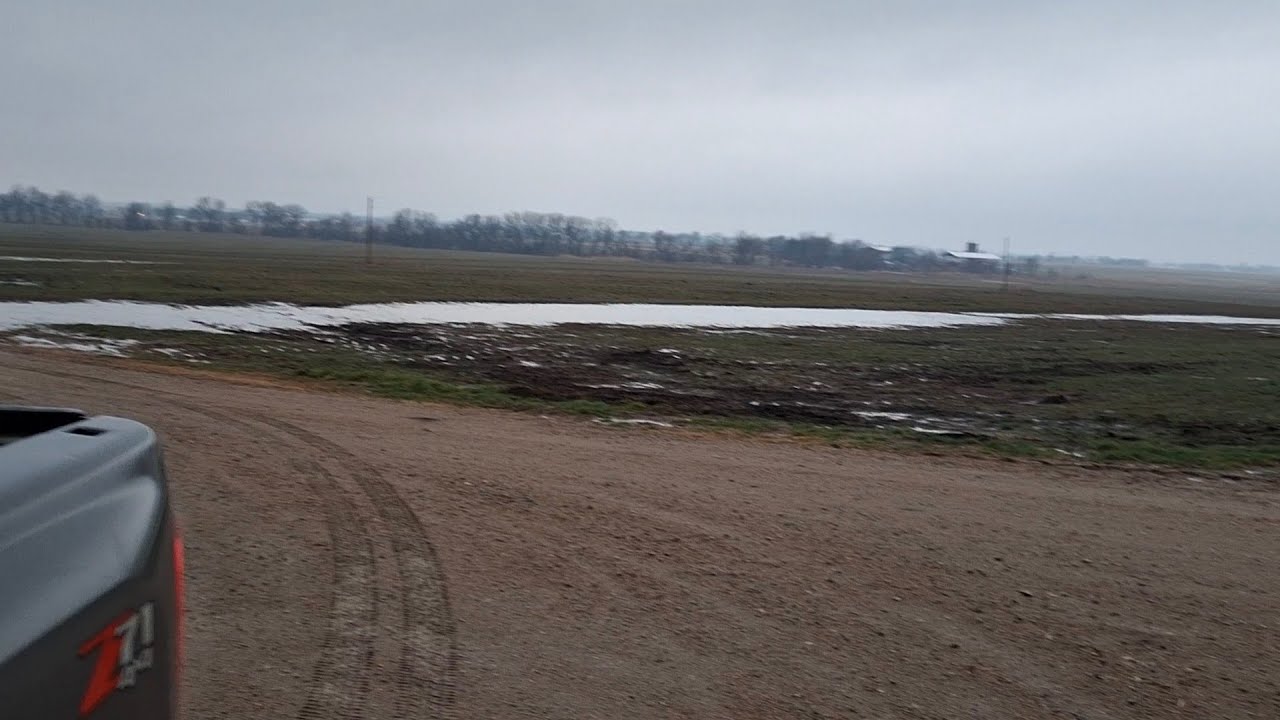 Пошли ли дожди на мочевину и пшеницу?