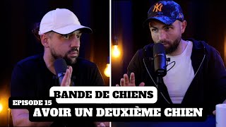 Avoir un deuxième chien  BANDE DE CHIENS Ep15