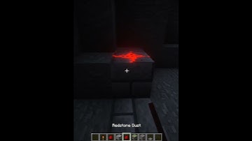 Minecraft Secret Door💀