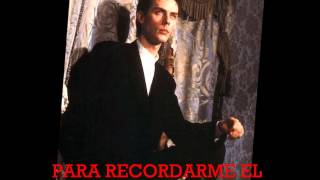 HIT SONG - Peter Murphy (Subtitulos en Español)