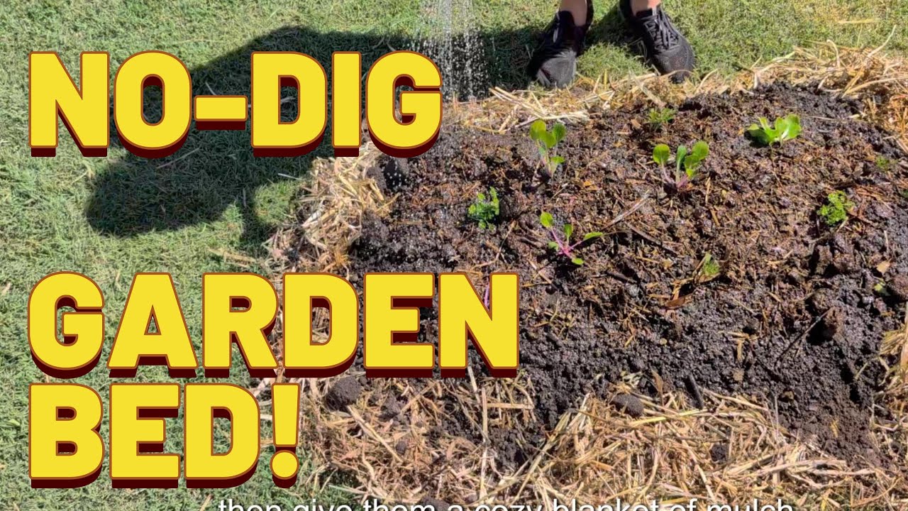 Build a No Dig Garden Bed The Easy Way!  Gazza the Green Permaculture