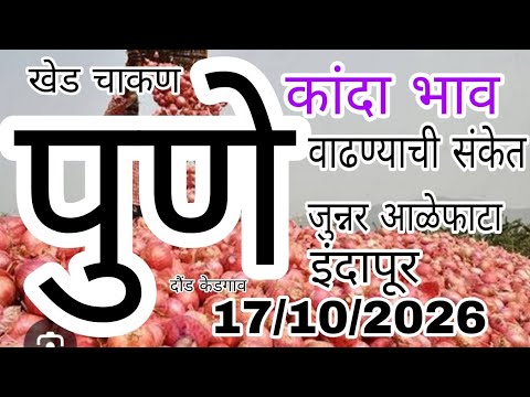 जुन्नर आळेफाटा कांदा बाजार भाव वाढले,kanda bajar bhav today, पुणे जिल्ह्यातील कांदा बाजार भाव वाढले