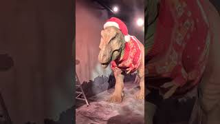 Putting a Christmas jumper on our T. rex #NHM #Dinosaur #Festive
Putting a Christmas jumper on our T. rex #NHM #Dinosaur #Festive Putting a Christmas jumper on our T. rex #NHM #Dinosaur #Festive