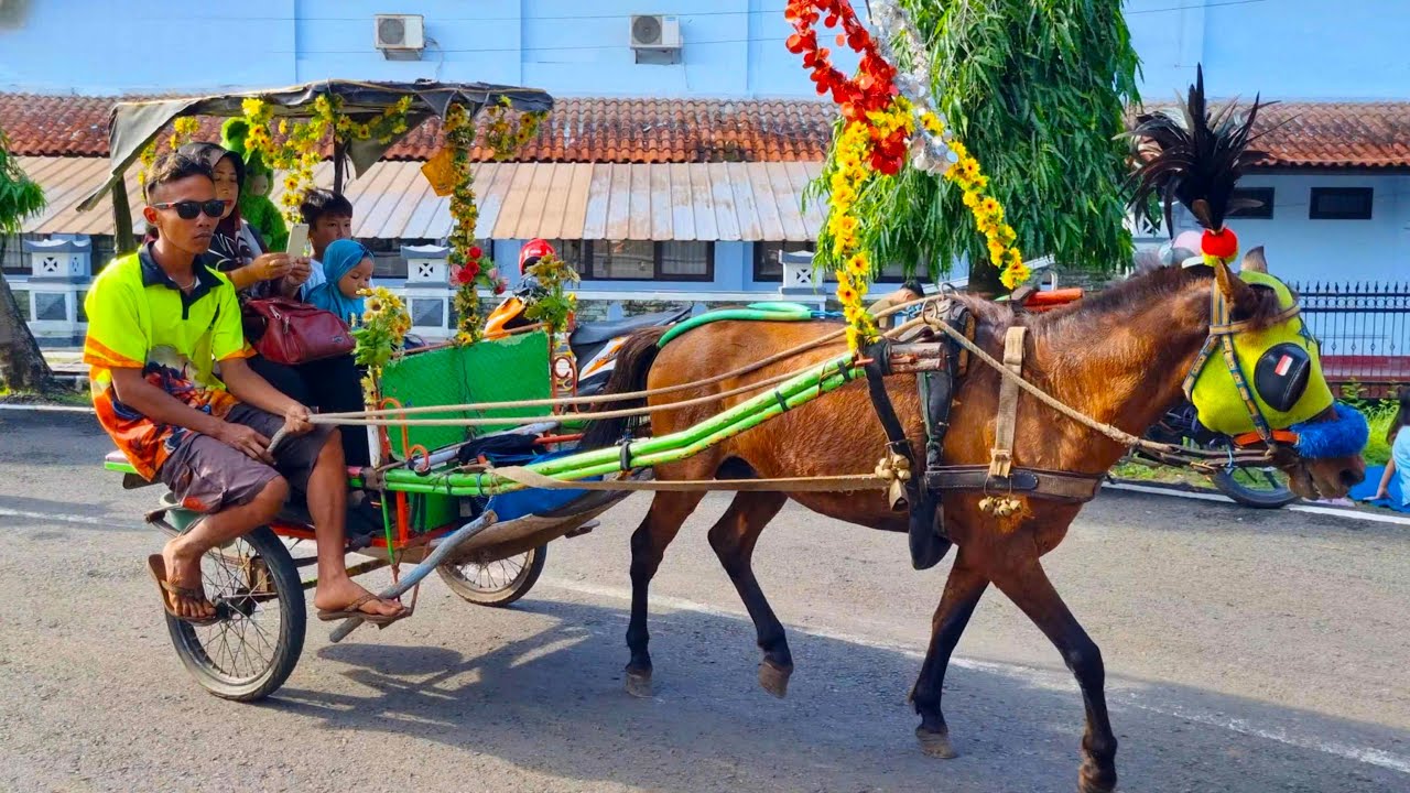 NAIK KUDA ~ KUDA DELMAN ~ NAIK DELMAN ISTIMEWA ~ LAGU DUA MATA SAYA ~ AKU SAYANG IBU SAYANG SEMUANYA