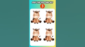 Find The Odd One Out | Quiz Gym