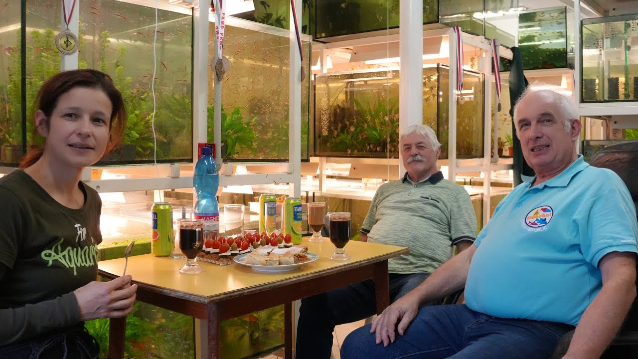 Hovory nad hladinou 6: Slávek Boudný a Zdeněk Dočekal ohledně vybarvení ryb nebo parazitů