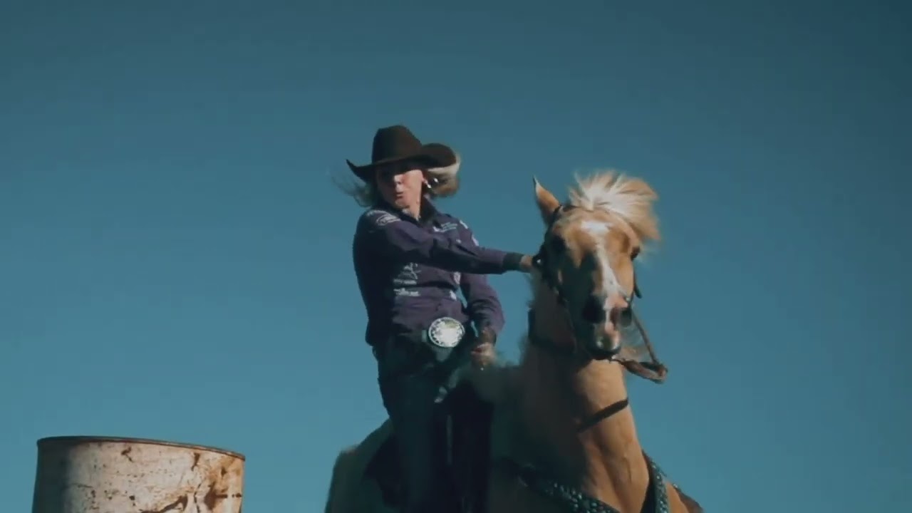 Premier Choice Equine's Premium Horse Products