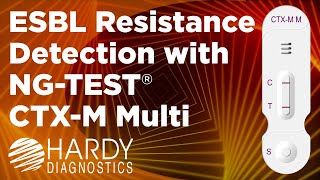 Rapid test for the detection of CTX-M groups 1, 2, 8, 9, 25 extended-spectrum B-lactamases (ESBL)