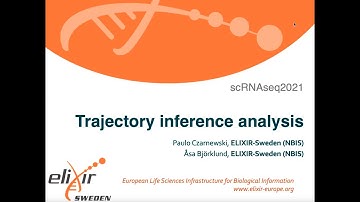 10 Trajectory Inference — 05 Graph Abstraction