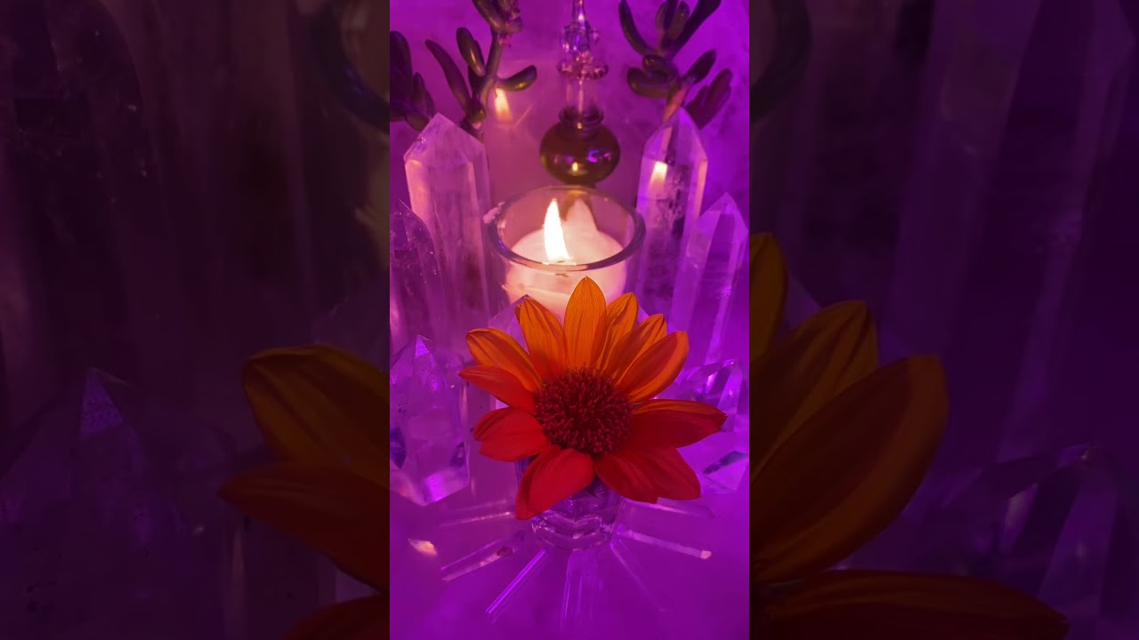 There’s Evidence of What Ur 👿Ex/Friend Did to Betray U⚖️Ur 3rd 👁️Ain’t Blind‼️