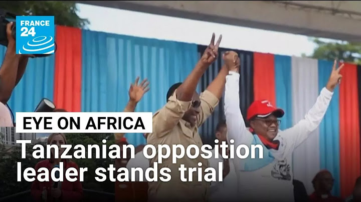 Tanzanian opposition leader Tundu Lissu stands trial • FRANCE 24 English