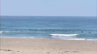 サーフィン！ 動画波情報　伊良湖/ロングビーチ   2021年5月31日 11:00 ▼30