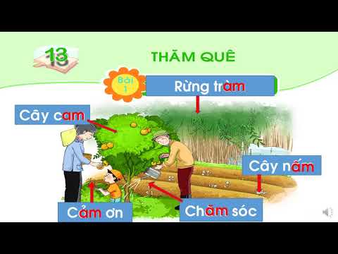 Tuần 13 - Lớp 1 - CĐ 13 Am, Ăm, Âm T1