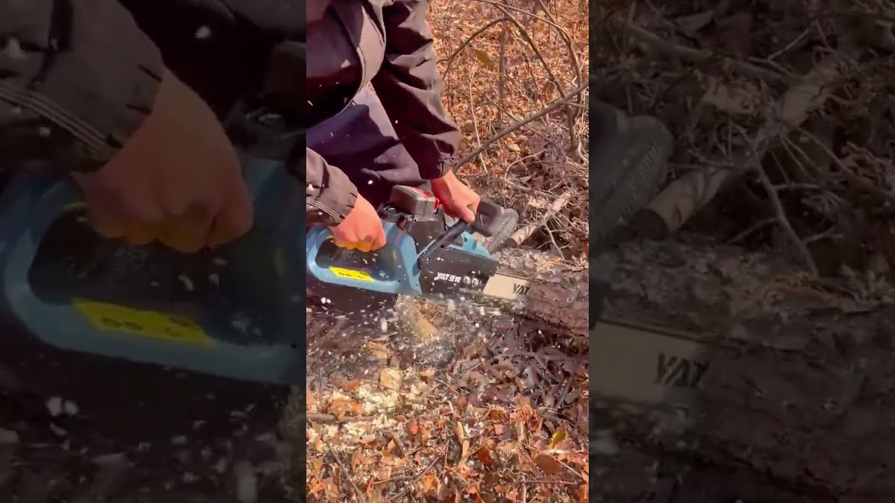 Cutting Large Wood Stems Quickly Using A High Performance Chainsaw For Forest Maintenance