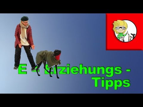 Video: Wenn Ihr Hund nur ein Kommando kennt, sollte es DAS sein!