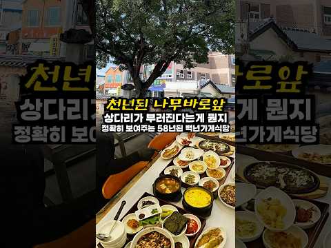 천년된 나무 바로앞 58년 2대째운영되는 스님들도 단골인 한식당 (상다리 부러짐;;) thumbnail