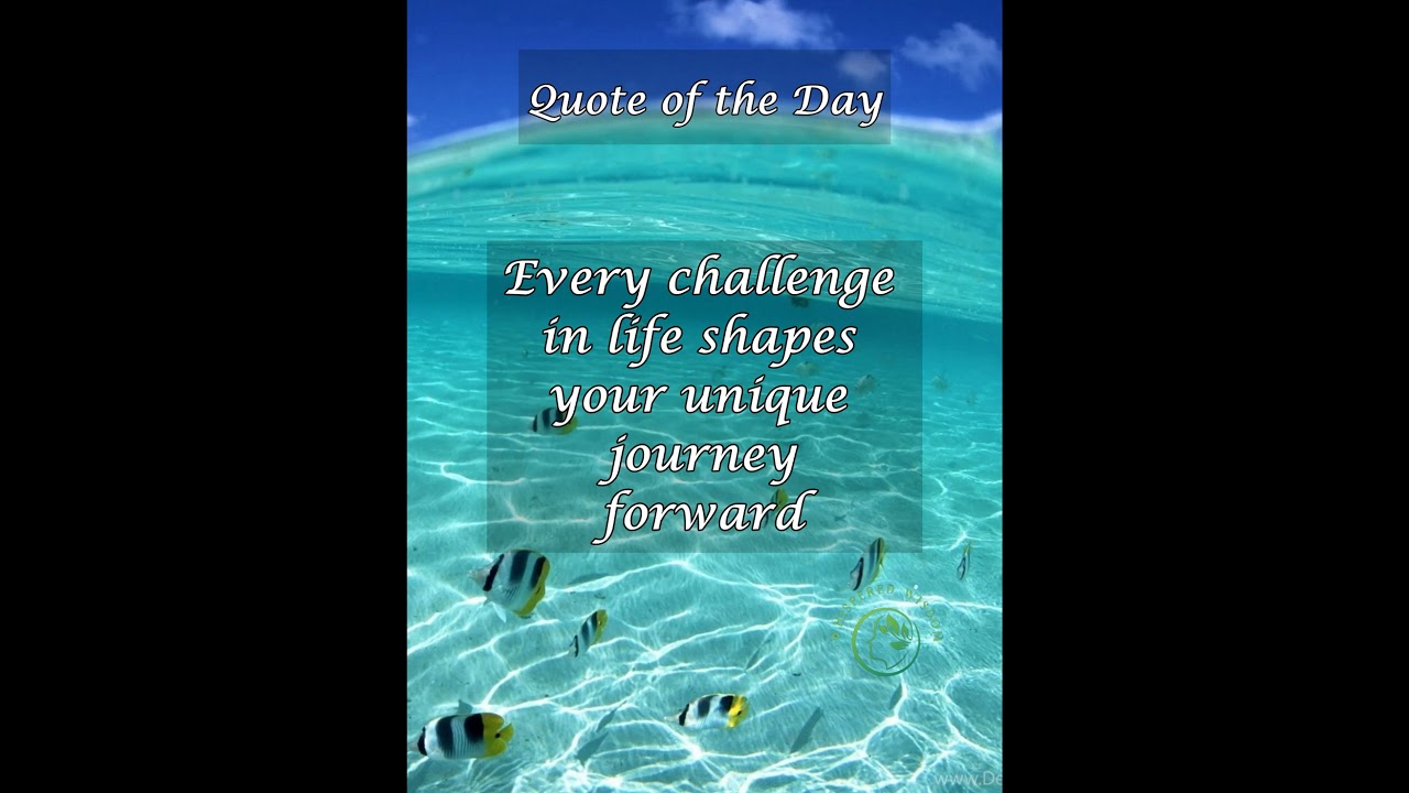 Today's thought-provoking quote 