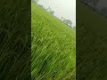 ###@@@##framing