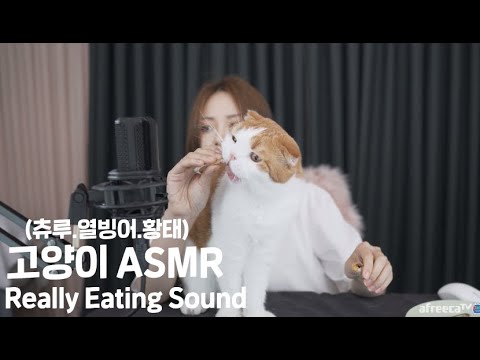 후추 .먹태) [ASMR] <strong>CAT</strong> EATING SOUNDS .<strong>CAT</strong> <strong>real</strong> sound