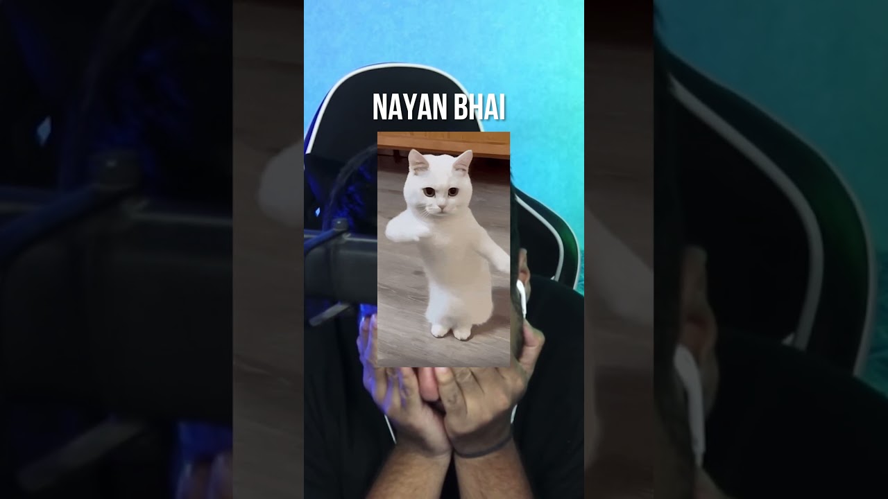 MY CHAT PREDICTED THE FUTURE!