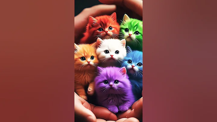 Video 10386161: british cat breeds, british hair cat, funny cat british, cat cute funny