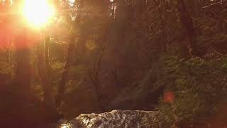 🌲 Hidden Washington Gem! Victor Falls in Bonney Lake Will Take Your Breath Away 🌊✨