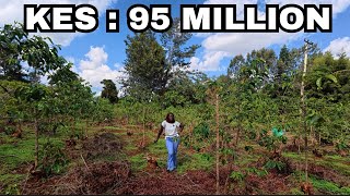 1 Acre Land FOR SALE in a HIGH END Estate on KIAMBU ROAD Nairobi Kenya 🏡