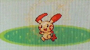 Live Shiny Plusle in Pokémon Sapphire after 8735 REs (SBQ#3)