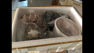 국제유가 또 폭락 주식 먹방 육개장 족발늘푸른님감사합니다