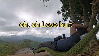 Love Hurt - Lyrics By Nazareth