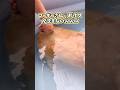 コーギーの動画見てニヤけたら負けwww #コーギー #犬 #犬のいる暮らし #いぬ #かわいい #癒し #2ch動物スレ