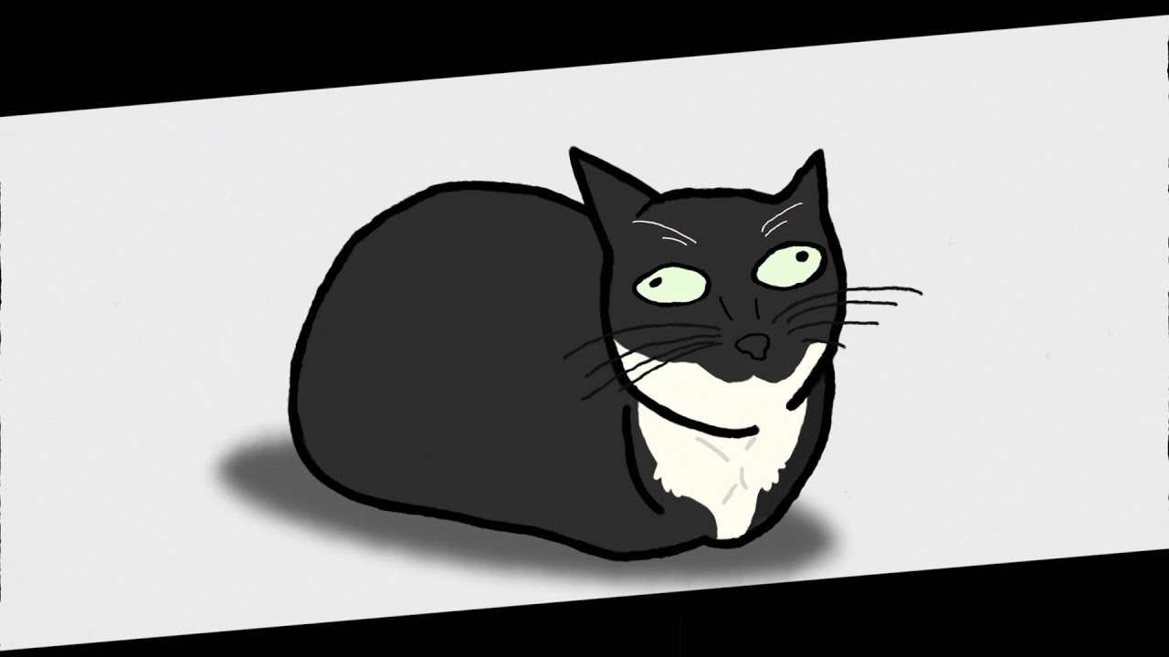 Кот максвелл