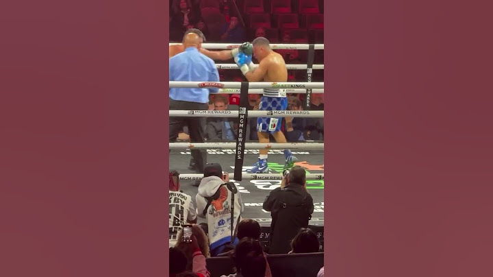 Pelea pitbull cruz vs tashiro