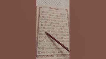 #استخراج #احكام #سورة #عبس #قرآن #كريم