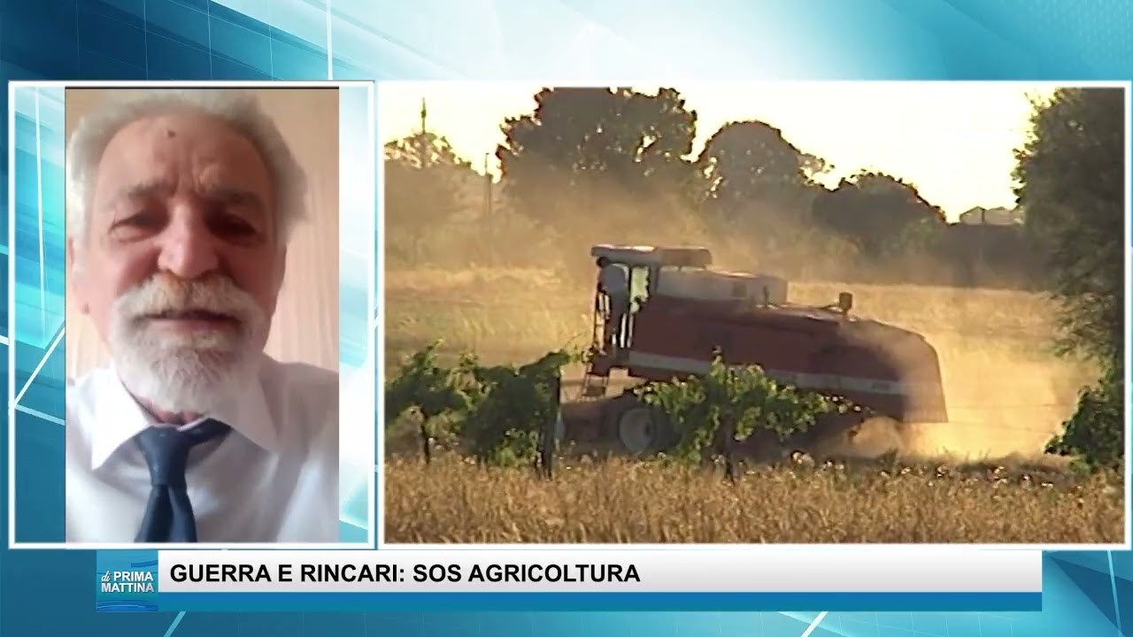 Agricoltura nella Piana del Sele, il territorio rivendica: sostenibilità