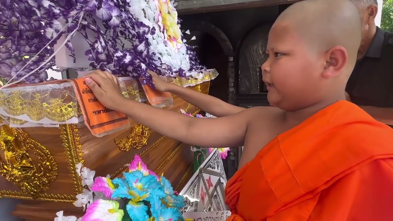 11 ธันวาคม 2566