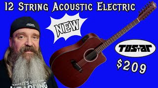 Everything You Need To Know About This 12-String from Tostar
