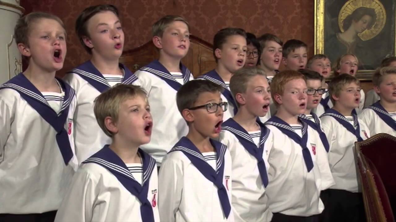 St. Florianer Sängerknaben - Es wird scho glei dumpa