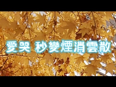 D225  心情不好，老人孩子愛哭獨家養生秘笈