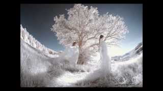 Wind Beneath My Wings