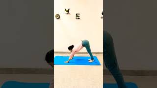 yoga flow.... #arpanamahesh #yoga#shortvideo