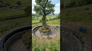 Amazing Tree Transformation 🌳💧 Insane Landscaping Build!