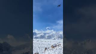 Lost in the Mountains | Real Survival Experience #mountains #mountainvibes #mountainlife #nature
