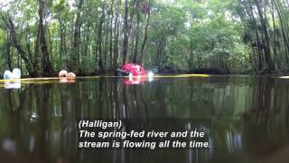 Underwater Archeology: Excavating the Wacissa River (Accessible Preview)