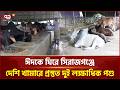 ভালো দামের স্বপ্নে খামারিরা, ভারতীয় গরু ঠেকানোই বড় চ্যালেঞ্জ | Qurbani Hat | Sirajganj | Ekattor TV