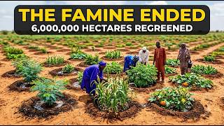 6 Million Hectares Regreened Without a Single Bulldozer